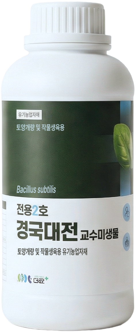 전용2호 경국대전 제품